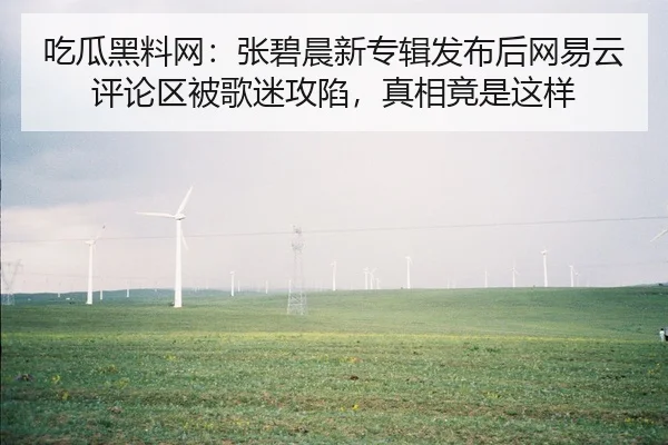 吃瓜黑料网：张碧晨新专辑发布后网易云评论区被歌迷攻陷，真相竟是这样