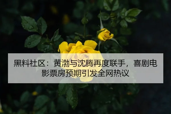 黑料社区：黄渤与沈腾再度联手，喜剧电影票房预期引发全网热议